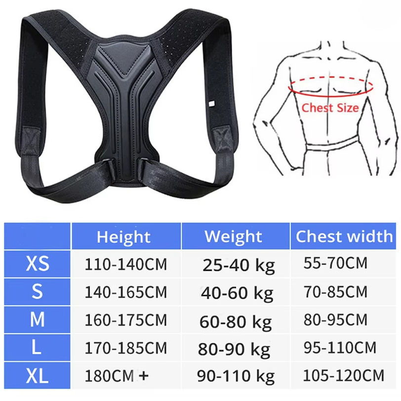 Bodiform Back Support Brace